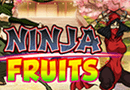 Ninja Fruits